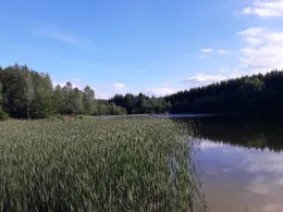 Gondelteich (Friedrichsbrunn)-4