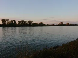 Rhein (Biblis - Hamm am Rhein)-2