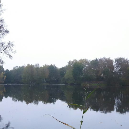 Halenberg-See (Quickborn)-1