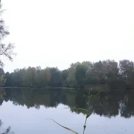 Halenberg-See (Quickborn)-1