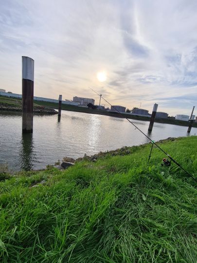 Neckar (Mannheim)