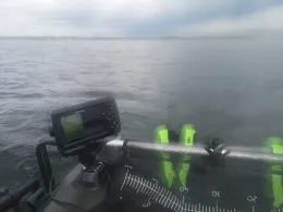 Flensburger Förde (Schausende)