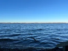 Flensburger Förde (Schausende)-1