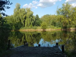 Jugendteich (Lauchhammer)