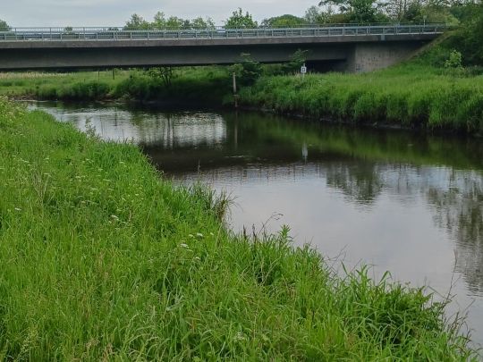 Stör (Kellinghusen)-1