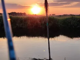 Stör (Kellinghusen)-4