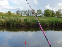 Stör (Kellinghusen)-3