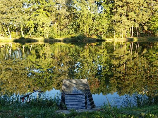 Neues Gewässer (Klötze)-2