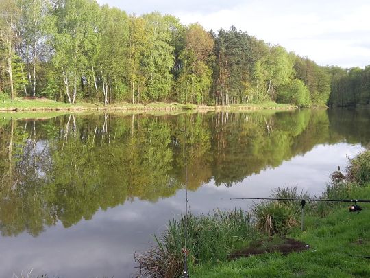 Neues Gewässer (Klötze)-1