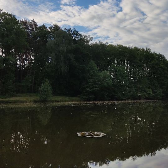 Neues Gewässer (Klötze)-3