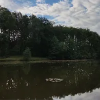 Neues Gewässer (Klötze)-3