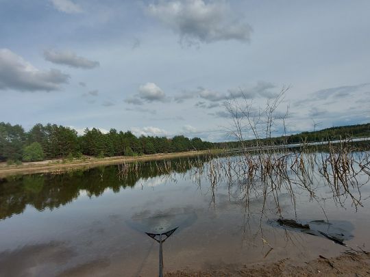 Spree (Lübbenau)