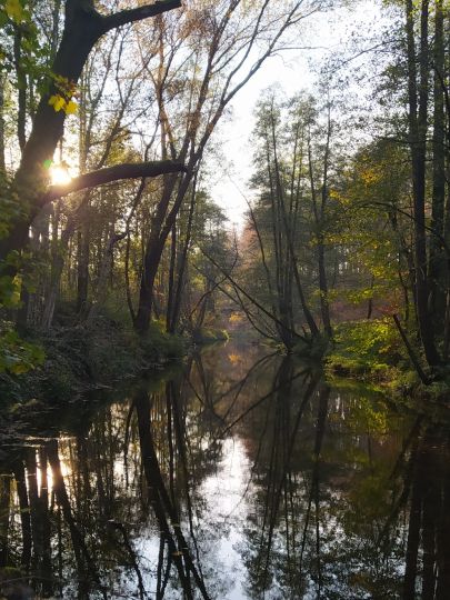 Große Röder (Radeberg)-2