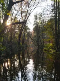 Große Röder (Radeberg)-2