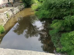 Große Röder (Radeberg)-1