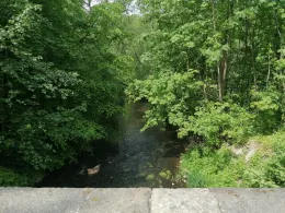 Große Röder (Radeberg)-3