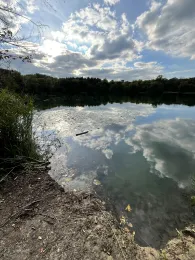 Niederwaldsee (Zwingenberg)-1