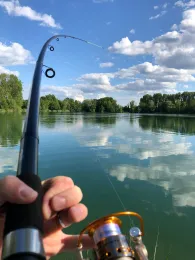 Niederwaldsee (Zwingenberg)