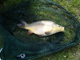 Stadtbad (Neustadt i. Sa.)