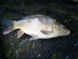 Stadtbad (Neustadt i. Sa.)-1