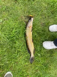 Stadtteich Seppensen