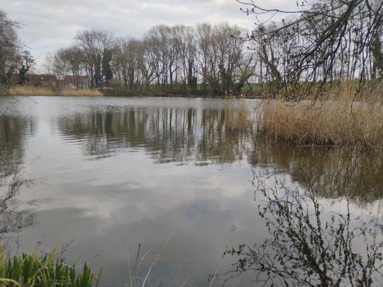 Mühlenteich Krosigk-4