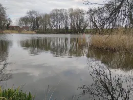 Mühlenteich Krosigk-4