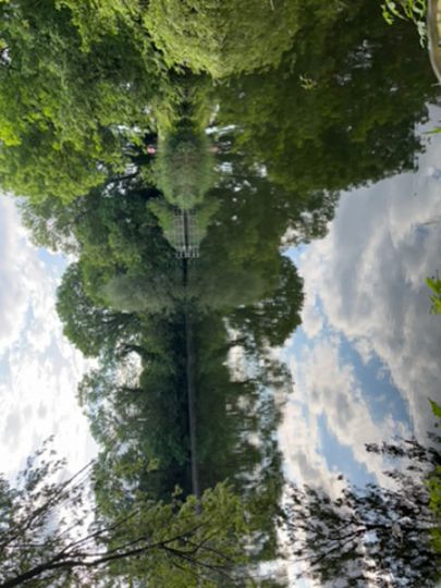 Mühlenteich Krosigk-3