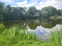 Mühlenteich Krosigk-1