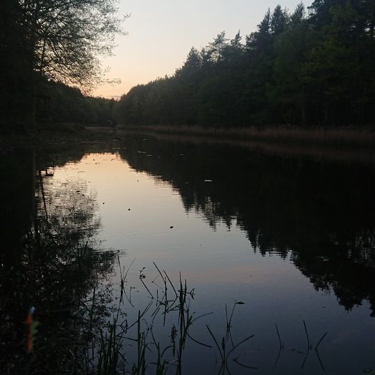 Gallensee-3