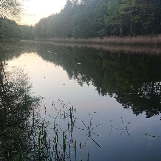 Gallensee-1
