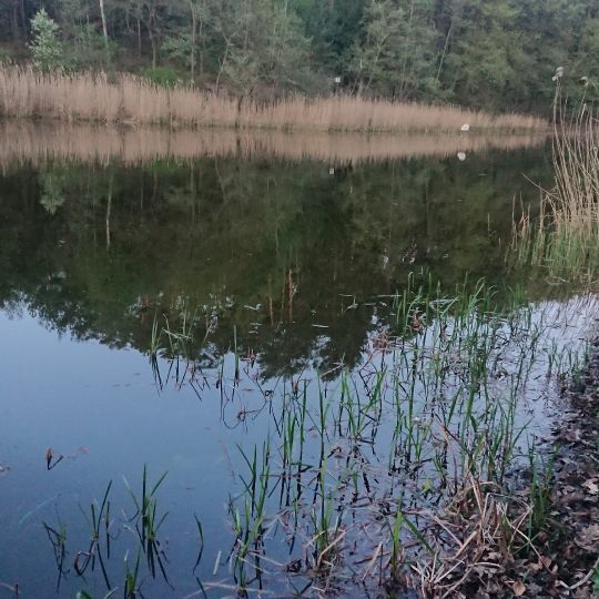 Gallensee-2