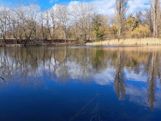 Kesselsee (Rüdersdorf)-2