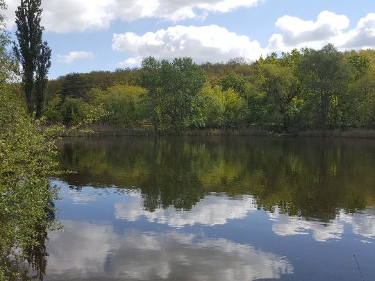 Kesselsee (Rüdersdorf)-4