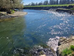 Günz (Deisenhausen)-4