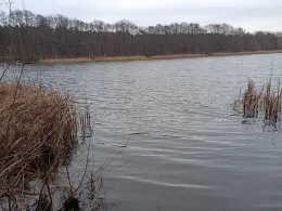 Kliestower See (Trebbin)-2