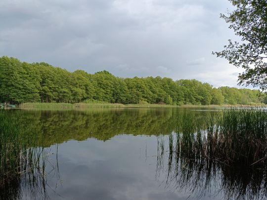 Kliestower See (Trebbin)-3