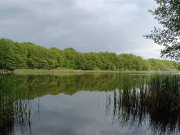 Kliestower See (Trebbin)-3