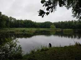 ehem. Kiesgrube Sandersdorf-1