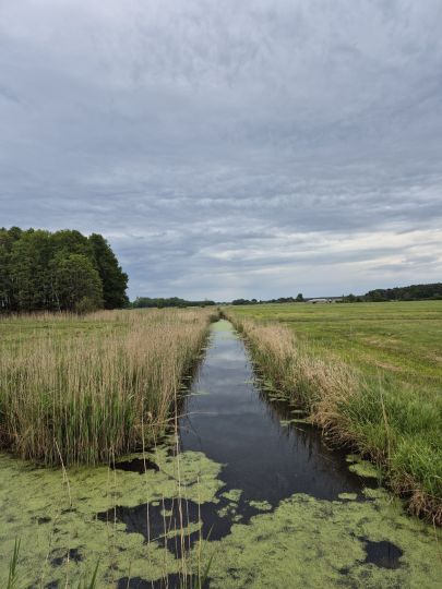 Alte Warnow (Demen)-2