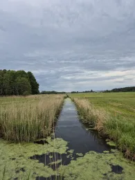 Alte Warnow (Demen)-2