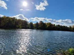 Hechtteich (Danndorf)