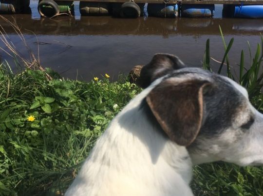 Wümme (Lilienthal)-4