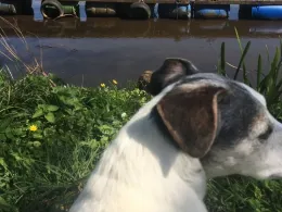 Wümme (Lilienthal)-4