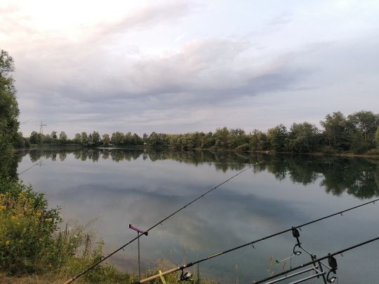 31+ Giftener Teiche Angeln, Der see liegt direkt westlich des