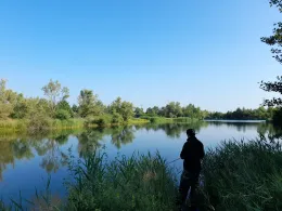 Giftener Teiche (FV Hannover)