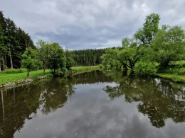 Teichanlage FV Zwiesel-1