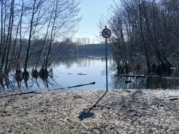 Bergsee (Schwafheim)