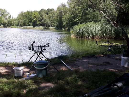 Fortschritt Meuselwitz-2