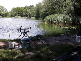 Fortschritt Meuselwitz-2